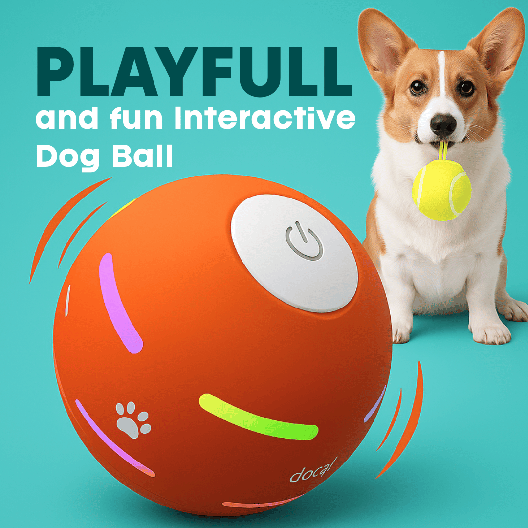 Dog’s Interactive Smart Play Ball 🐾🎾🔋 – Ruff-Cut Shop