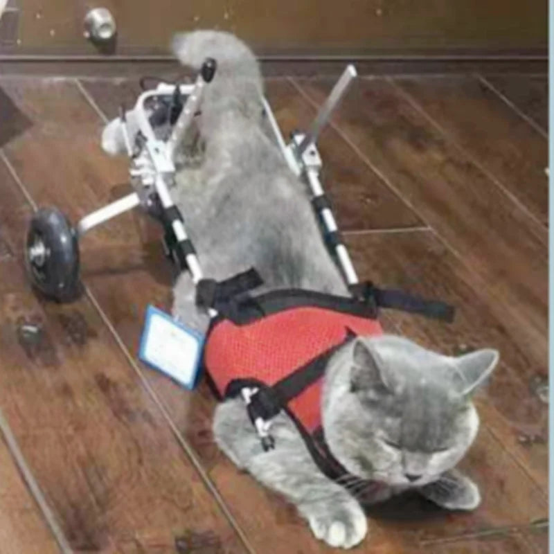 Cat & Small Pet Wheelchair – Hind Leg Injury & Rehab Support Stroller ...